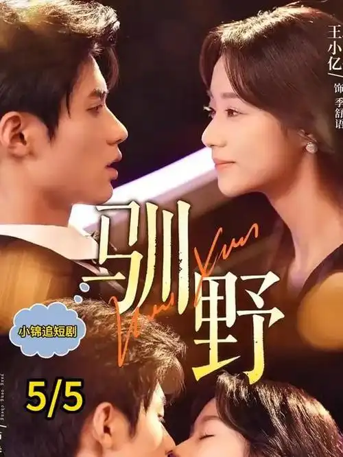 雾港迷局 热播电视剧全集手机免费在线观看